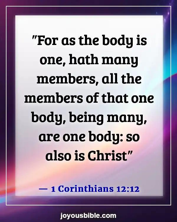 Bible Verses About Accepting Others (1 Corinthians 12:12)