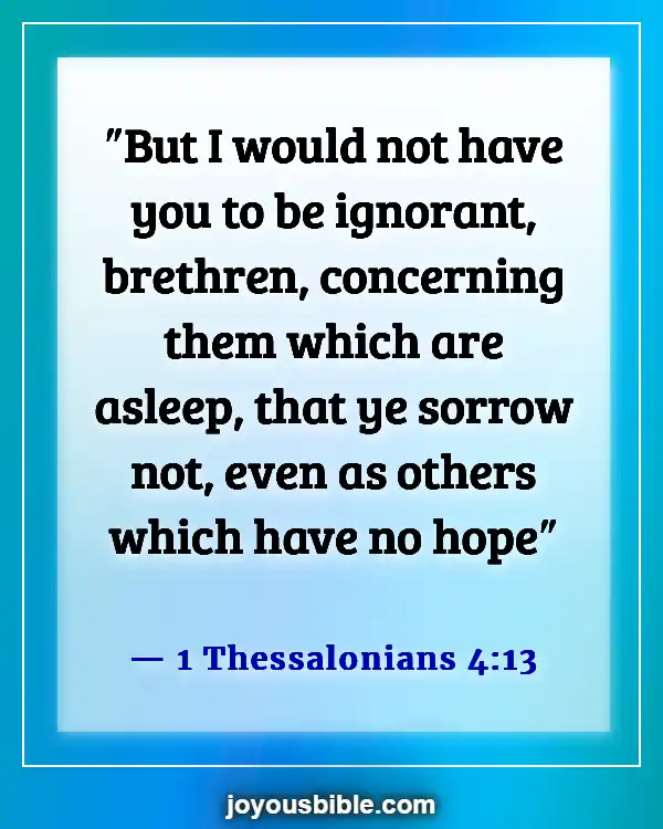 Bible Verses About The Hope Of Heaven (1 Thessalonians 4:13)