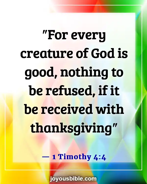 Bible Verses About Being Thankful For The Little Things (1 Timothy 4:4)