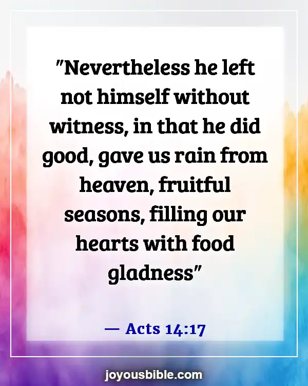 Bible Verses About God’s Love For Unbelievers (Acts 14:17)