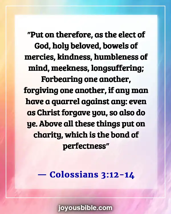 Bible Verses About Respect For Human Life (Colossians 3:12-14)