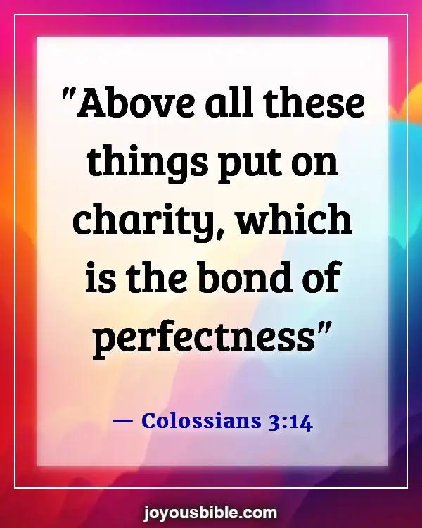 Bible Verses About Respect In Relationships (Colossians 3:14)