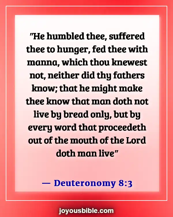 Bible Verses About Providing For Your Family (Deuteronomy 8:3)