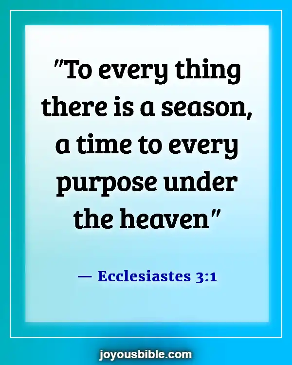 Bible Verses About Taking Care Of Your Family First (Ecclesiastes 3:1)