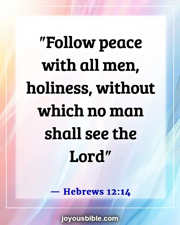 Bible Verses About Blessed Are The Peacemakers (Hebrews 12:14)