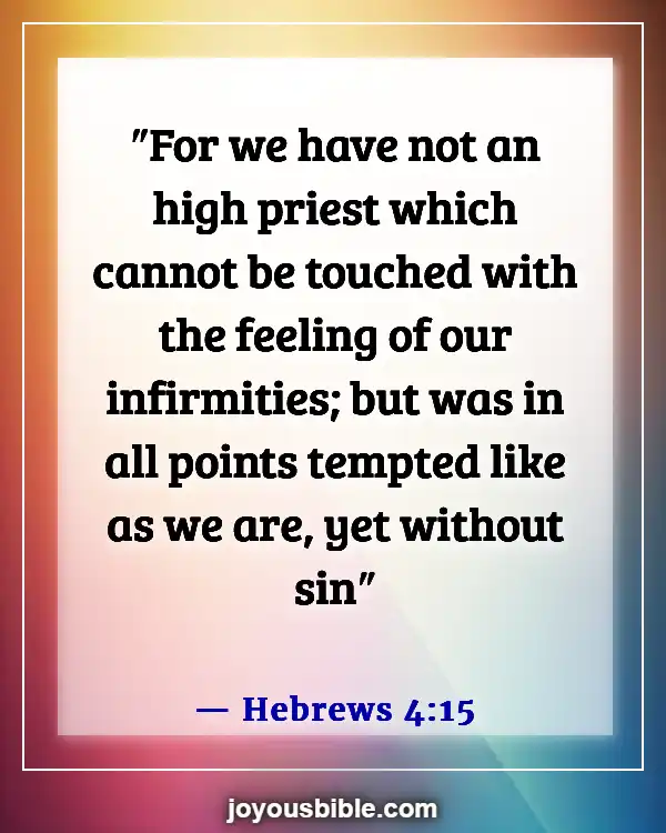 Bible Verses About Human Being Imperfect (Hebrews 4:15)