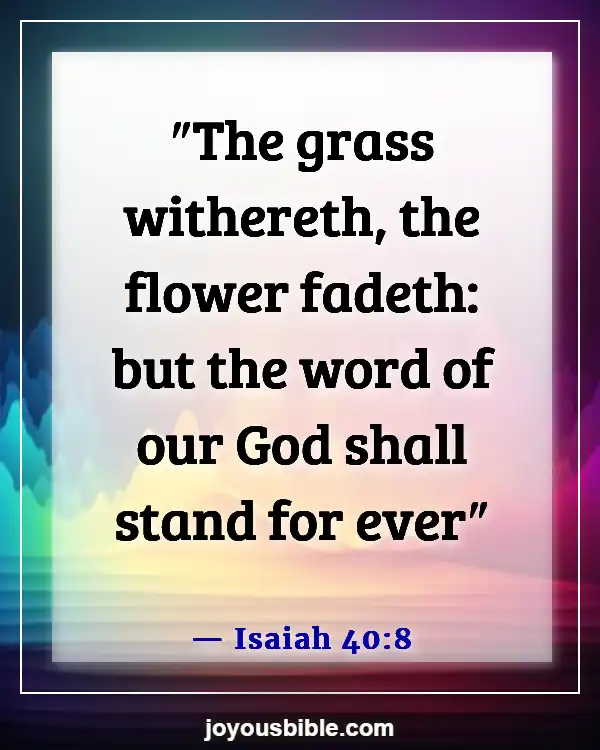 Understanding the Bible from an Eternal Perspective (Isaiah 40:8)