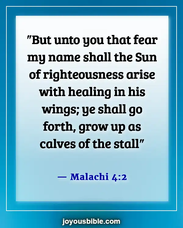 Bible Verses About Jesus Being The Light (Malachi 4:2)