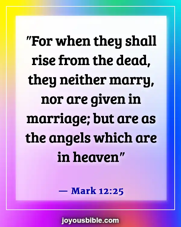 Husband And Wife Reunited In Heaven Bible Verse (Mark 12:25)