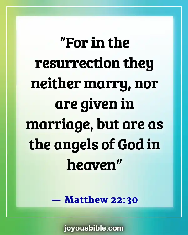 Husband And Wife Reunited In Heaven Bible Verse (Matthew 22:30)