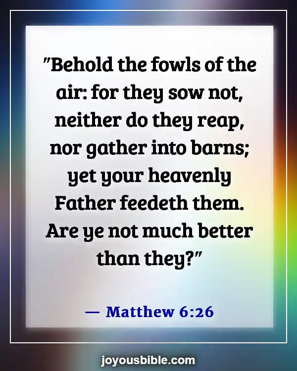 Bible Verses About How Precious We Are To God (Matthew 6:26)