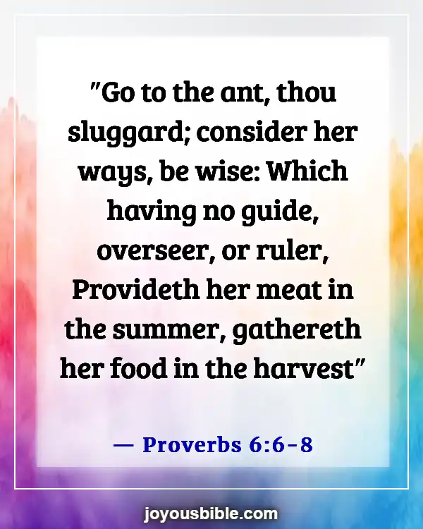 Bible Verses About Attitude Towards Work (Proverbs 6:6-8)