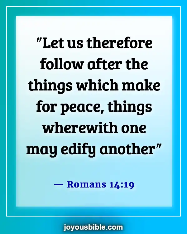 Bible Verses About Blessed Are The Peacemakers (Romans 14:19)