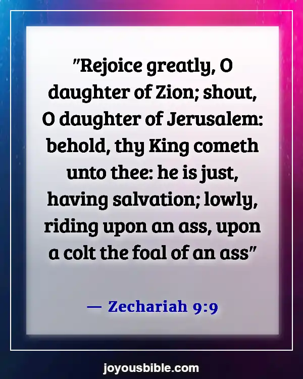 Bible Verses About Joy To The World The Lord Has Come (Zechariah 9:9)