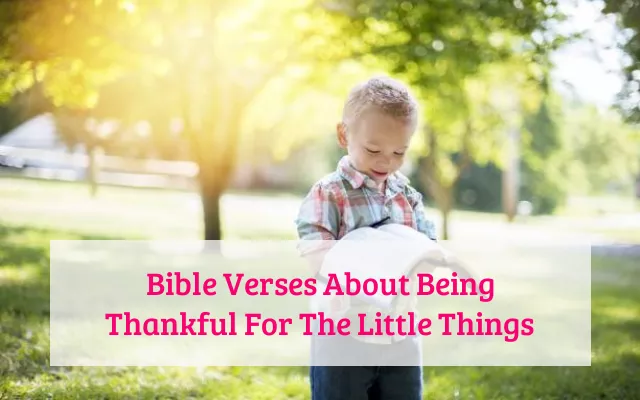 Bible Verses About Being Thankful For The Little Things