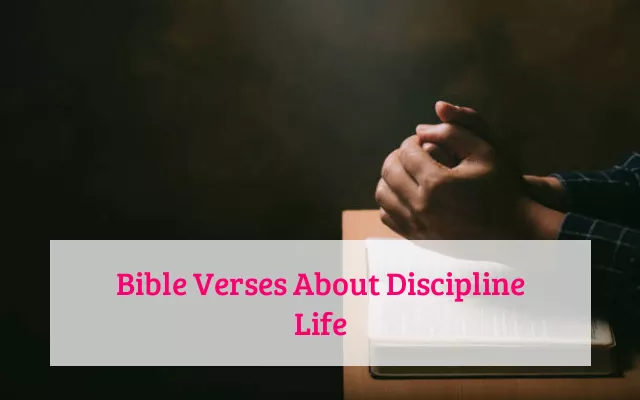 Bible Verses About Discipline Life