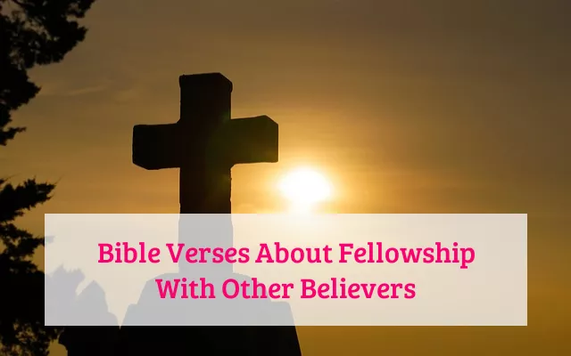 Bible Verses About Fellowship With Other Believers