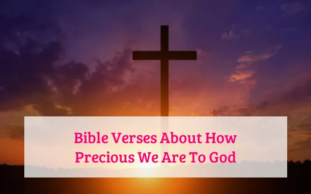 Bible Verses About How Precious We Are To God