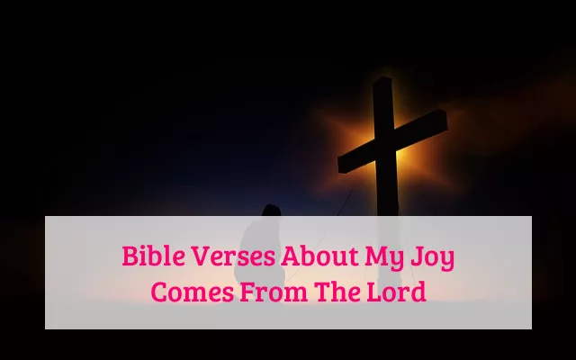 Bible Verses About My Joy Comes From The Lord