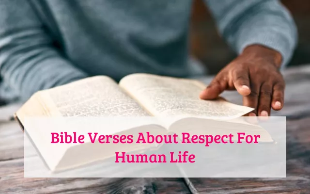 Bible Verses About Respect For Human Life